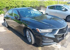 19UUB5F30MA001404: 39903989