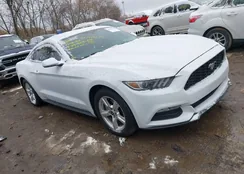 1FA6P8AM8F5348832: 40926176