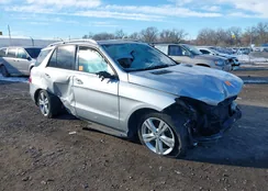 4JGDA5HB0FA559449: 40971922