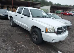 1D7HE48NX5S261911: 40985744