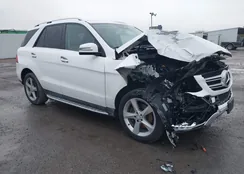 4JGDA5HB4GA736912: 41015367