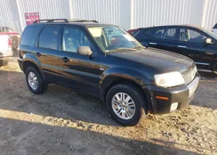 4M2CU57165DJ18755: 41018770