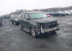 1FM5K8F86GGA98265: 41071232