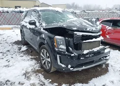 5XYP6DHC4LG084907: 41077284