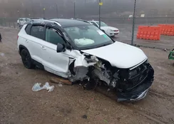 3VVVX7B26RM017597: 41102092