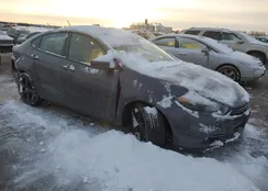 1C3CDFEB1GD538986: 41146726