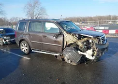 5FNYF4H96CB024529: 41150135