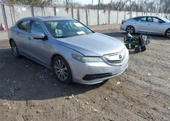 19UUB1F33FA005779: 41152454