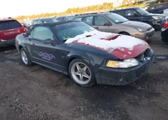 1FAFP44431F197731: 41181672