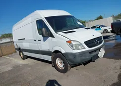 WD3PE8CB3C5684474: 41182133