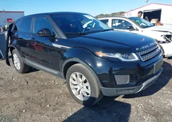 SALVP2RX2KH343659: 41204943