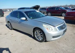 JNKBV61E08M206641: 41211697