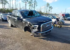 1FTEW1CG0HKD86079: 41229215