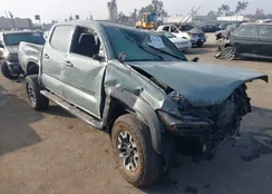 3TYCZ5AN2NT096491: 41229744