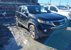 5XYKUCA16BG028811: 41235289