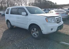 5FNYF4H41AB017313: 41310273