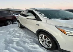 1FMCU9J95DUB21698: 41341677