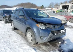 JTMBFREVXED070024: 41384033