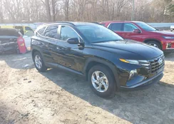 5NMJB3AEXPH242265: 41493266