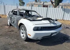 2B3CJ5DT0BH561889: 40526907