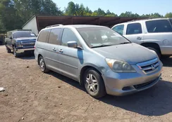 5FNRL38737B105855: 40541578