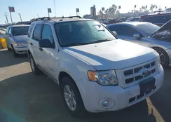 1FMCU49329KA56234: 40575323