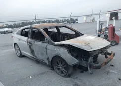 5NPE24AF8GH336292: 40603151