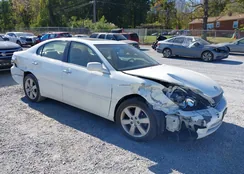 JTHBA30G165155767: 40611992