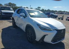 JTJGKCEZXS2046165: 40619894