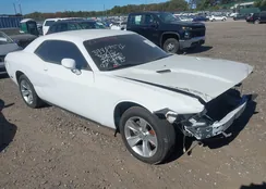 2C3CDZAG1MH546880: 40638589