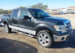 1FTFW1EF4EFB43310: 40652579