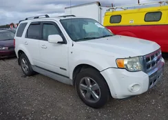 1FMCU94148KE38136: 40690683