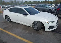 19UUB5F60MA003776: 40692832