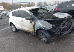 KNDPMCAC6H7251265: 40725236