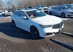 19UUB3F60KA005206: 40834935