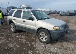 1FMYU93105KB27645: 40856464