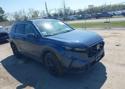 5J6RS6H85RL009376: 41920773