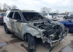 1FM5K8F87HGD54186: 41922717