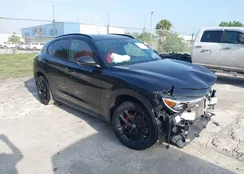 ZASPAKBN6K7C46780: 41925163