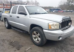 1D7HE28K76S702504: 41926290