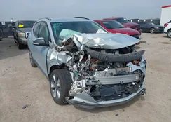 1G1FY6S07N4135262: 41929374