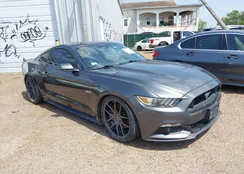 1FA6P8CF8H5265418: 41941965