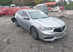 19UUB2F37KA010533: 41947410