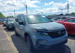 5FNYF5H30NB018391: 41948502