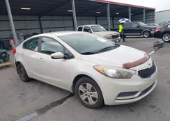 KNAFK4A62E5166509: 41950774