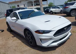 1FA6P8TH2M5135131: 41952310