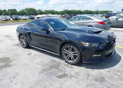 1FA6P8TH0H5328223: 41956269