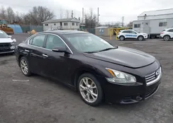 1N4AA5APXCC817074: 41962032