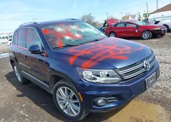 WVGAV7AX7FW594369: 41972548