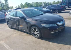 19UUB1F34FA022686: 41975685